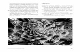 Literatuur - Universiteit Utrecht · jaar op het symposium ‘Geometric Patterns in Islamic Art’ in Leiden, aan Harrie Schollen, teamleider Wiskun-de van Fontys lerarenopleiding