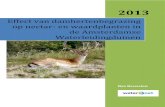 Effect van damhertbegrazing in AWD 01-11-2013 definitief...2013/11/01  · 11 1. Inleiding De duinen van Nederland staan bekend om de hoge diversiteit aan dier- en plantensoorten (De