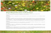 ByeByeGrass Charterbyebyegrass.eu/wp-content/uploads/2019/08/ByeByeGrass-Charter-v… · 2.4. Sociale functie ... opslag toelaat: het is een groene woestijn. Het omzetten van (grote)