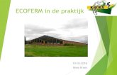 ECOFERM in de praktijk - InnovatieAgro&Natuur · Circa 100 hectare eigen teelt gras en snijmais ... Oktober 2014: opschaling naar 880 m2. Eendenkroosteelt 2015. ... Het kalf is een