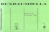 BLWG | Buxbaumiella - Lichenologische · 2016-01-31 · Buxbaumiella 44 (1997) 3 In memoriamDr. W.D. Margadant Wim studeerdeaanvankelijk economie om in de voetsporen van zijn vader
