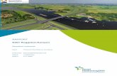 RAPPORT N307 Roggebot-Kampen - IJsseldelta Programma · waterveiligheid met het leveren van een bijdrage aan de ruimtelijke kwaliteit, onder andere met de aanleg van nieuwe natuur