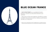 BLUE OCEAN FRANCE€¦ · BLUE OCEAN FRANCE •BLUE OCEAN FRANCE est un portefeuille d'actions françaises, concentré sur des actions fortement sous-valorisées. •Nous avons au