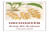 bladen voor boekjefeb · 2020-03-22 · bibliotheek Jan Evers 0413-367362 bibliothecaris@orchidee-brabant.nl Kringblad van Orchideeën Vereniging NO-Brabant. Jaargang 28 nr. 2, februari