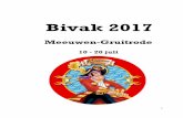 Bivak 2017 - Chirojongens Rillaar - Home · hebben is het thema Piet Piraat en alle andere verwanten op de zee. Dus bereid je maar voor en leer alles over schepen, zodat je weet wat