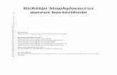 Richtlijn Staphylococcus aureus bacteriëmie - NVMM · 2019-11-28 · 1 Richtlijn Staphylococcus 2 aureus bacteriëmie 3 4 5 6 7 8 9 10 11 12 13 14 15 INITIATIEF 16 Nederlandse Vereniging
