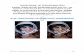 Youtube filmpje: het Andrzej Dragan Effect Andrzej Dragan zijn …photoshop.seniorennet.be/Reeks 48/Pdf/dragan-effect.pdf · 2017-12-08 · Soft Hard ear vivid opacity: Ful: 100%