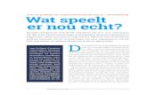 Wat speelt er nou echt? - thijs-homan.nl · Synthetron is een online platform dat grote groepen mensen (max. 1000 personen) in staat stelt om (digitaal en anoniem) met elkaar in gesprek