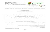 Accompagnement du processus de renforcement de capacité de ...agritrop.cirad.fr/591784/1/Mémoire-anonymisé_LeVagueresse.pdf · en évidence deux modes d’intervention différents