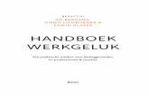 HANDBOEK WERKGELUK€¦ · REDACTIE: AD BERGSMA, ONNO HAMBURGER & ERWIN KLAPPE HANDBOEK WERKGELUK Een praktische toolbox voor leidinggevenden, hr-professionals & coaches