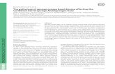 RESEARCH ARTICLE Thepathologyofspongeorangebanddiseasea ...people.uncw.edu/pawlikj/2011FEMSAngermeier.pdf · detector MD-2010Plus) on a Chromolith RP-18e column (4.6 100mm; Merck).