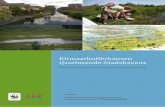 Klimaatbufferkansen IJsselmonde-Stadshavens · 2017-03-31 · Klimaatbufferkansen IJsselmonde-Stadshavens Bijzondere kansen voor natuur en recreatie dichtbij de stad mei 2010 Geschreven