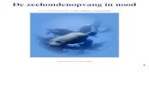 De zeehondenopvang in noodrietkulk.home.xs4all.nl/PWS_Zeehonden/PWS printversie.pdf · De meningen hierover zijn verdeeld. Zeehondencrèche Pieterburen is er voor om zoveel mogelijk
