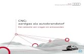 CNG: aardgas als autobrandstof - DB Technologydbtechnology.be/wp-content/uploads/2014/02/FAQ-CNG-AUDI-NL.pdf · • Er bestaan verschillende types aardgas, die onderverdeeld worden