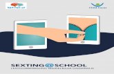 SEXTING SCHOOL - Sensoa · 2019-01-03 · sexting en hoe ermee omgaan STAP 3: REFLECTIE IN WERKGROEPJES VAN TELKENS 4 LEERLINGEN In deze stap laten we de leerlingen in de huid kruipen
