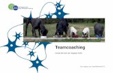 Teamcoaching · 2019-01-04 · Teamcoaching maakt deze zaken op een constructieve en resultaatgedreven manier bespreekbaar. Zodat knelpunten zichtbaar worden en kunnen worden aangepakt.