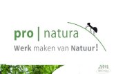 Pro Natura - Vlaamse Landmaatschappij (VLM) OR… · Pro Natura Sociale economie –150 WN 3 vestigingen : Vilvoorde, Pamel en Eeklo Actief sinds 1993 “Werk” en “Natuur” 2