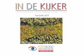 NAJAAR 2019 - Fotobond · De zomereditie van In de Kijker is voor het eerst door de nieuwe redacteur Lidy van Doorn-Nieuwendijk samengesteld. Daarbij had ze, in overleg, gekozen voor