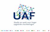 Gevlucht… en dan?taalaanzee.nl/wp-content/uploads/2016/11/Presentatie-UAF-nieuw.pdf• Startende ondernemers • Refugees@campus • mentoring • Belangenbehartiger van hoogopgeleide