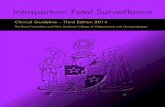 Clinical Guideline – Third Edition 2014 Clinical Guideline/IFS... · 4 RANZCOG Intrapartum Fetal Surveillance Clinical Guideline – Third Edition 2014 Foreword This is the third