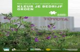 Meer natuur in een stedelijk landschap KLEUR JE BEDRIJF GROEN · 2017-11-13 · Philippe Liesenborghs Buurtgroen groenbuffer ingetekend, maar onder impuls van de buurt en verschillende