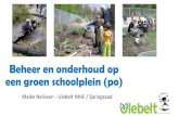 Beheer en onderhoud op een groen schoolplein - IVN...Belang van groen schoolplein - Meer en veelzijdig bewegen en spelen - Kinderen in contact brengen met natuur - Kinderen leren over