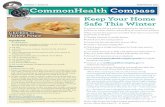 Volume 1 • Issue 21 Fall/Winter 2011 theCommonHealth Compasscommonhealth.virginia.gov/.../CompassTLCFall2011.pdf · Fall/Winter 2011 Page 3 It seems like the holiday season starts