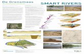 De Grensmaas MART RIVERS · 1000 m3/s. • Door de hoge morfodynamiek is het niet nodig vooraf veel structuren aan te leggen. Mits voldoende grind in het systeem ... kunnen losse