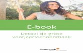 E-book...2018/03/30  · detoxkuur bestaat vaak uit het gebruik van groene smoothies en sommige fruitsoorten. Dat klinkt als een zware kuur, maar volgens ervaringsdeskundigen en coaches