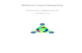 Risk/Loss Control Management - Topves and Loss Control Management KLUW… · Risk/loss control management en de Arbo-wet 64 8. Loss control management praktijk. Uitwerking van enige