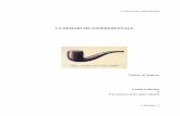 LA DEMARCHE EXPERIMENTALEplc2-svt-2.creteil.iufm.fr/IMG/pdf/La_demarche_experimentale.pdf · La démarche expérimentale J. Brenasin. 1 LA DÉMARCHE EXPERIMENTALE Tableau de Magritte