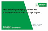 Financieringsmogelijkheden en subsidies voor ... Aanspreekpunt Vlaamse overheid voor Vlaamse ondernemers