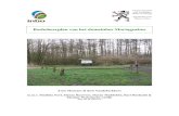 Bosbeheerplan van het domeinbos Mortagnebos · Mortagnebos (Zwevegem, 1996). 1.5 Statuut van de wegen en waterlopen Het beheer van de Marberstraat, de enige verharde openbare weg
