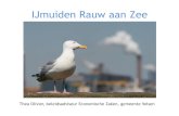 IJmuiden Rauw aan Zee - Nederland Schoon · •Hier wordt hard gewerkt en dat is goed zichtbaar. •IJmuiden is wars van mooimakerij. Dit is wie we zijn en als je daar van houdt,
