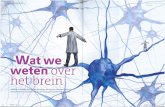 Tekst Bea Rosgesavdbroek.net/static/Didactief_interview sep 2015.pdf · 2017-08-10 · ° Jonge hersenen leren sneller en onthouden beter, oudere hersenen zijn beter in aandacht en