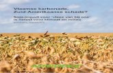 Vlaamse karbonade, Zuid-Amerikaanse schade? · Zuid-Amerika voor de teelt van soja, en legt die naast recente cijfers over de vlees- en zuivelproductie in de Europese Unie. Ook België,