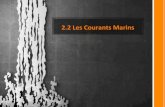 2.2LesCourants Marins#mmemurrant.weebly.com/uploads/9/0/2/8/90286937/2-2-les-v...QUESTIONS# 1. Qu’estce#qu’un#courantmarin?# 2. Quel#facteur#estàl’origine#des#courants#de# surface?#