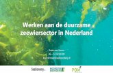 Werken aan de duurzame zeewiersector in Nederlandfabriekenvoordetoekomst.be/sites/default/files...Koen van Swam 06 –53 52 60 89 koen@noordzeeboerderij.nl Werken aan de duurzame zeewiersector