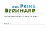 Dyscalculieprotocol o.b.s. Prins Bernhard Mei 2015mobilecms.blob.core.windows.net/appfiles/app_1184/File/150430-dy… · Op basis van de analyse en interpretatie van deze gegevens