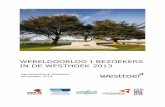 WERELDOORLOG I BEZOEKERS IN DE WESTHOEK 2013 · 2016-02-17 · WOI bezoekers in de Westhoek, maar tevens in een beter inzicht in wat zij verwachten bij hun bezoek aan het WOI erfgoed.