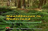 Naaldbossen in Nederland · In deze brochure gaan we nader in op de hierboven genoemde onderwerpen, waarbij de nadruk uiteraard ligt op het belang van naaldbossen voor paddenstoelen.