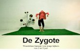 De Zygote - Compagnie ATIKAcompagnieatika.be/pdf/De Zygote.pdfbegon ze te dansen. Tijdens haar studies psychologie werd ze ook verliefd op de menselijke ziel. In 1999 be-gint ze een
