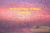 ПЕРЕЛЁТНЫЕ ПТИЦЫ (весной)cpmss.edu.ru/wp-content/uploads/2020/04/... · Вот возвращаются с теплых краев перелетные птицы