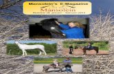 Mansolein’s E-Magazinemansolein.free.fr/mansolein/e-magazines/E-Magazine... · Magazine! In deze editie van het Mansolein’s E-Magazine staat de terugblik op 2012 centraal. Een