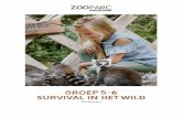 GROEP 5-6 SURVIVAL IN HET WILD - ZooParc Overloon · Daarnaast leer je van alles over de regels van de natuur en hoe dieren samen in een gebied leven. In ZooParc Overloon kun je op