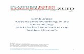 Limburgse Ketensamenwerking in de Versnelling: praktische … · 2014-06-03 · Veranderen en verbeteren betekent innoveren. Innovatie heeft een aantal verschijningsvormen. Vaak denkt