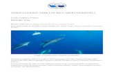 Ischia Dolphin Project - Amici di Riccardo 2016... · 2017-11-20 · ASSOCIAZIONE AMICI DI RICCARDO DOMENICI Ischia Dolphin Project REPORT 2016 RICERCATORI: Barbara Mussi, Daniela