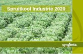 Spruitkool Industrie 2020 - Syngenta Nederland...2019/12/09  · Deze brochure is uitsluitend bedoeld om algemene informatie omtrent Syngenta producten aan de gebruiker te verstrekken