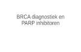 BRCA diagnostiek en PARP inhibitoren...Turner et al., Nat Rev Cancer, 2004 5 Poly(ADP-Ribose)Polymerase (PARP) •PARP is van belang voor DNA reparatie en het behoud van genomische