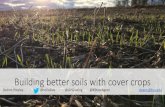 Building better soils with cover crops - Home | Agronomy · Covers improve soils Blanco-Canqui, H., Claassen, M. M., & Presley, D. R. (2012). Summer cover crops fix nitrogen, increase